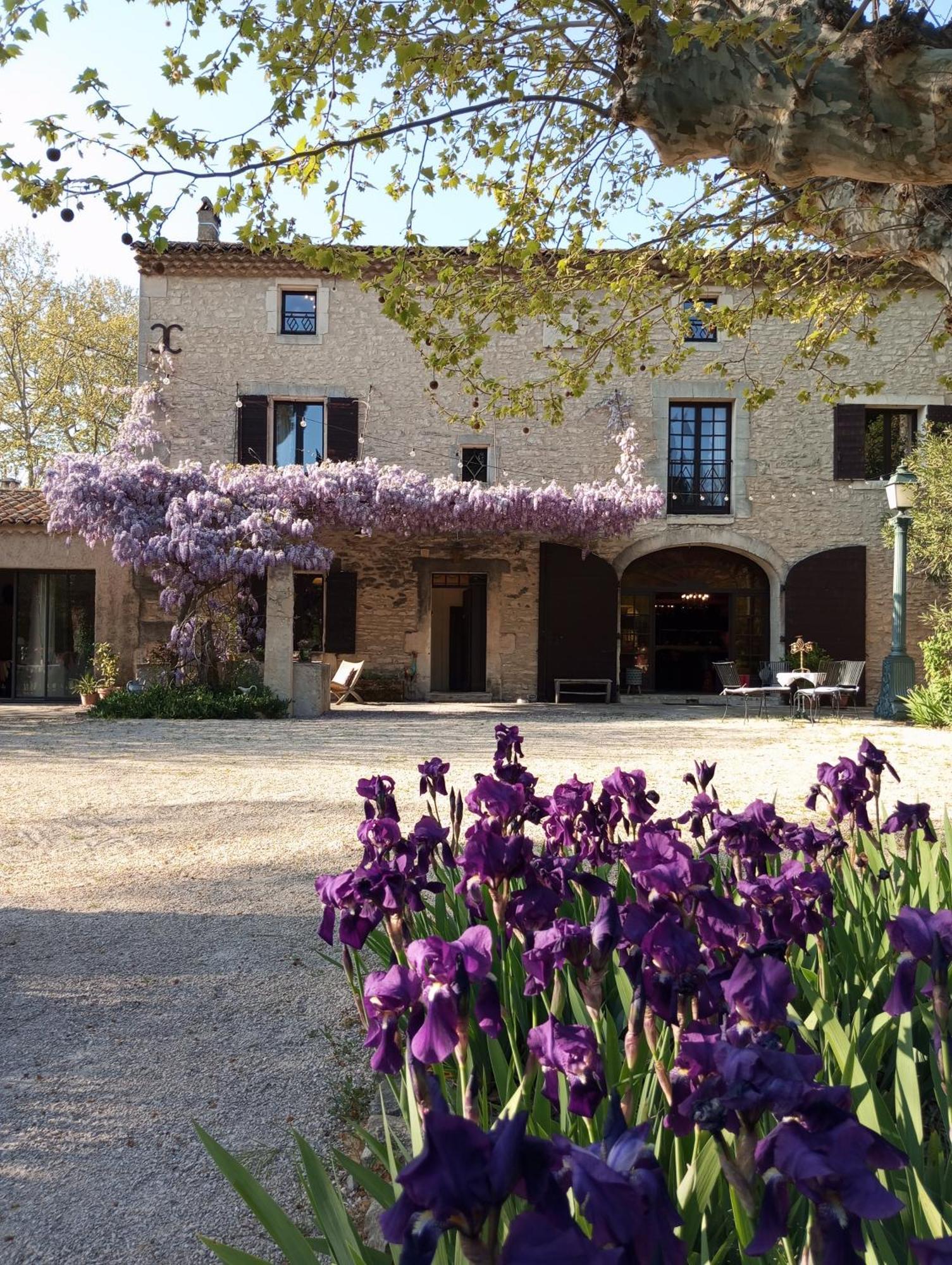 Remy A Dit Saint-Remy-de-Provence Bagian luar foto